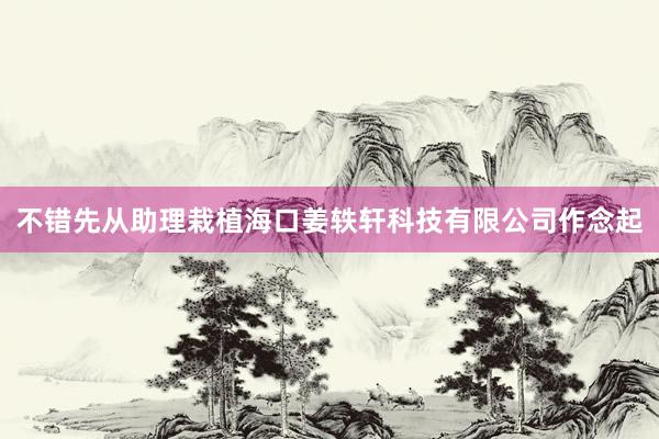 不错先从助理栽植海口姜轶轩科技有限公司作念起